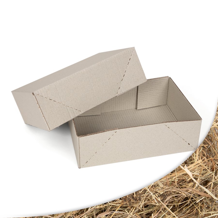 Zweiteilige Aufrichteschachtel mit Klebepunkten Zweiteilige Aufrichteschachtel mit Klebepunkten