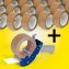 PP-Packband und Abroller im Set Abroller und PP-Packband-Rollen