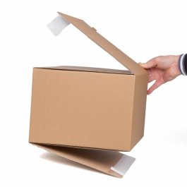 Faltkarton mit Selbstklebeverschluss Faltkarton mit Selbstklebeverschluss