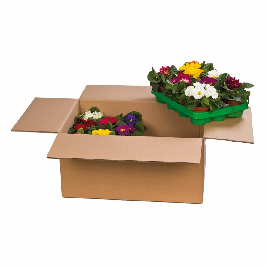 Karton für den Pflanzenversand Karton für den Pflanzenversand