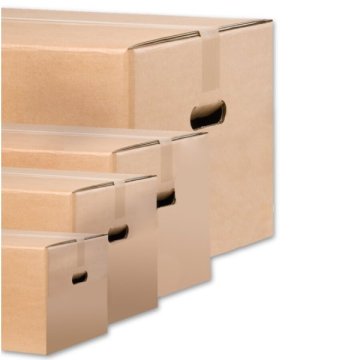 Versandkarton für Pflanzen mit seitlichen Tragegriffen