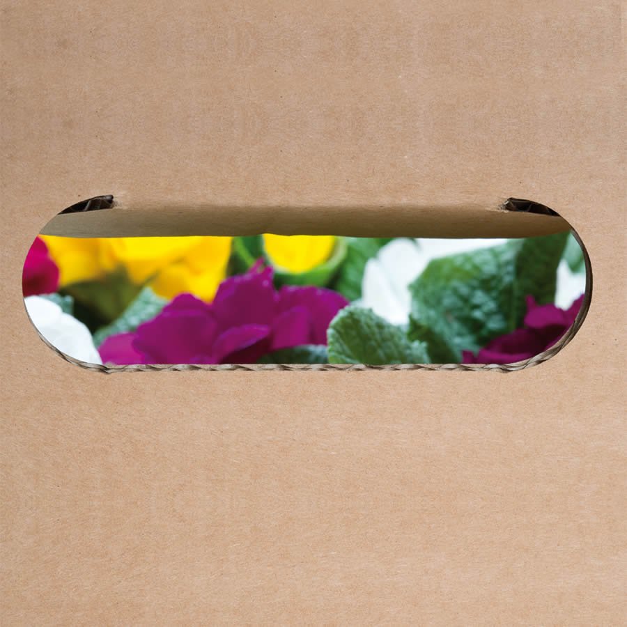 Versandkarton für Pflanzen leicht und handlich tragen Versandkarton für Pflanzen leicht und handlich tragen