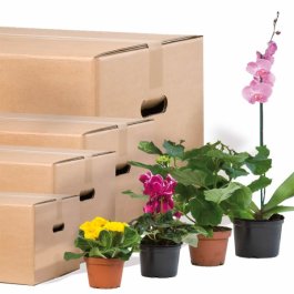 Faltkarton aus Wellpappe mit praktischen Tragegriffen Faltkarton aus Wellpappe mit praktischen Tragegriffen