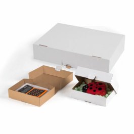 Klappschachtel mit Steckverschluss und Seitenklappen Klappschachtel mit Steckverschluss und Seitenklappen