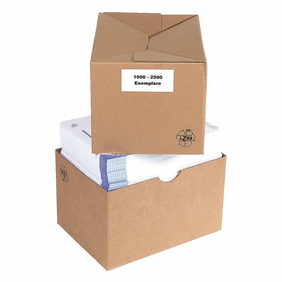 Vario-Blitz Karton mit hoher Stabilität durch doppelwandige Seiten Vario-Blitz Karton mit hoher Stabilität durch doppelwandige Seiten