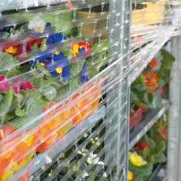 Handstretchfolie, gelocht Handstretchfolie, gelocht