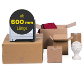 Karton 600 x 400 x 500 1-wellig
