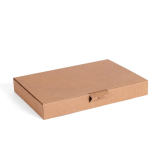 Maxibrief-Karton 253 x 165 x 48 mm (AM) braun